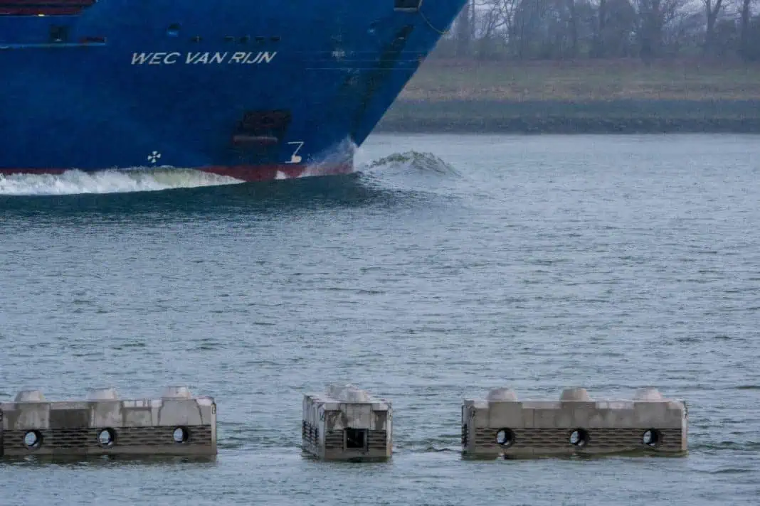 Rotterdam Reef Successfully Installed for Nature and Shoreline Protection!