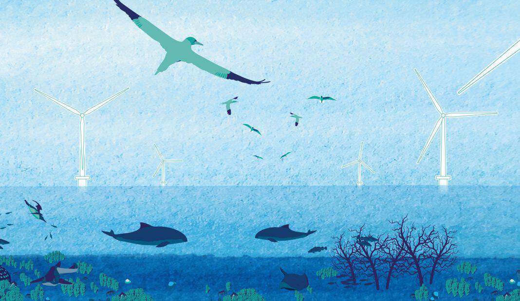 Ecowende to build most nature-friendly wind farm to date