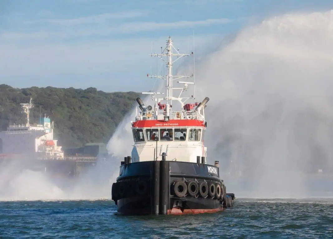 Damen Shipyards Cape Town (DSCT), has successfully delivered a new plough tug to the Transnet National Ports Authority (TNPA).