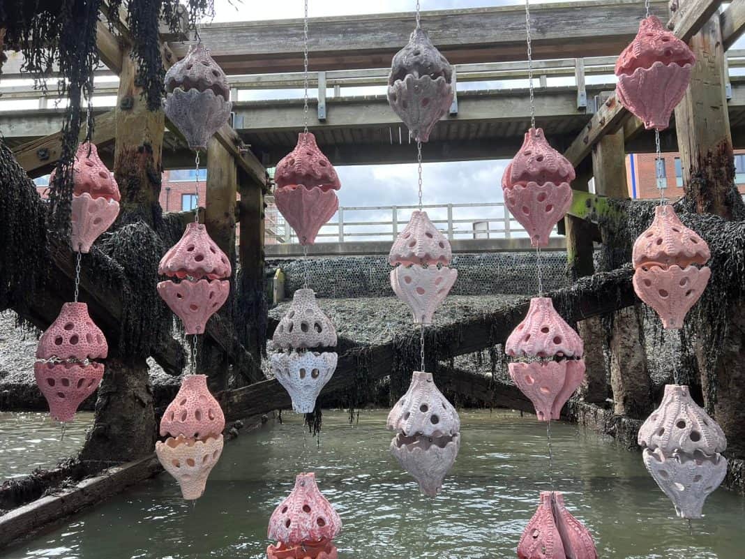 he Port of Blyth who own and operate the Quay has played a key role in supporting the installation of a web of 57 vertically hanging artificial ‘Shelter Shells’, the biggest installation of its kind in the world.