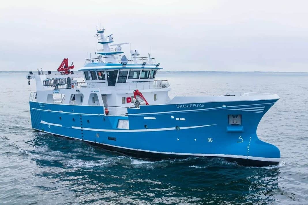 Hexagon Purus Maritime, a wholly owned subsidiary of Hexagon Purus, has received a purchase order for a hydrogen fuel storage system from Hvide Sande Shipyard