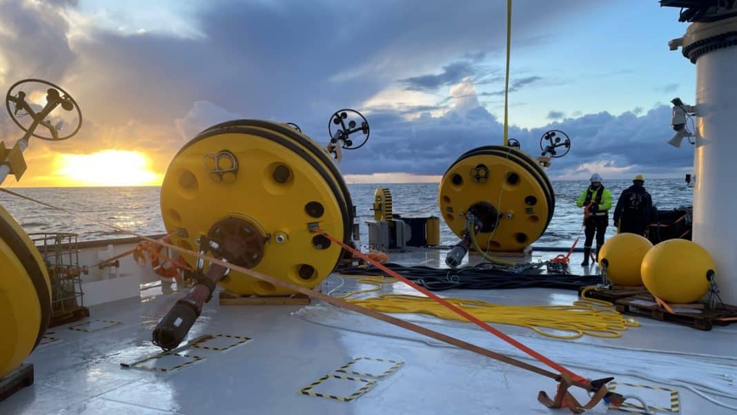 Salamander Project Launches Monitoring At Floating Offshore Wind Site