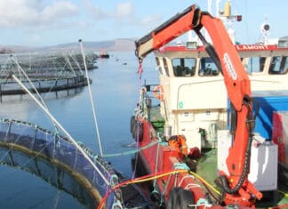 Scotland’s first turnkey aquaculture net cleaning tech sails through maiden industry project
