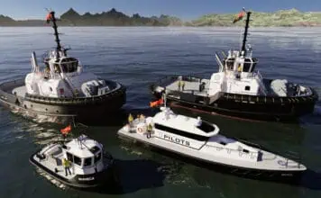 Damen Shipyards Group signed a contract with Toyota Tsusho for the delivery of four vessels. The order consists of two ASD Tugs 2813, a Pushy Cat 1004 and a Stan Pilot 1905.