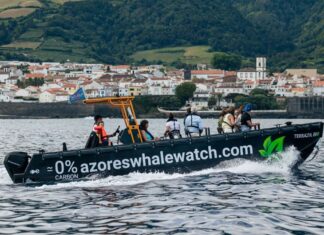 ExploMar, a leader in marine electric propulsion, today announced its WAVE 300 outboard system is the driving force behind TERRAZUL EVØ, Portugal’s first high-performance electric boat dedicated to sustainable maritime tourism. Designed and built by Dutch HDPE boat specialists Tideman Boats, the vessel is now operational in the Azores Islands under the stewardship of TERRA AZUL™, renowned for its eco-conscious whale watching experiences.