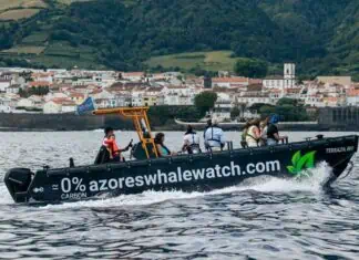 ExploMar, a leader in marine electric propulsion, today announced its WAVE 300 outboard system is the driving force behind TERRAZUL EVØ, Portugal’s first high-performance electric boat dedicated to sustainable maritime tourism. Designed and built by Dutch HDPE boat specialists Tideman Boats, the vessel is now operational in the Azores Islands under the stewardship of TERRA AZUL™, renowned for its eco-conscious whale watching experiences.