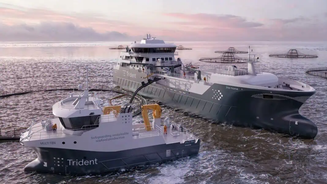Trident Aqua Services, a global leader in aquaculture maritime services, has further solidified its commitment to sustainability by contracting a new battery-hybrid live fish carrier and a premium hybrid service vessel. These investments, part of the company’s broader strategy to reduce emissions while enhancing operational efficiency, bring Trident’s total number of vessels under construction to seven, expanding its fleet to 69 ships globally