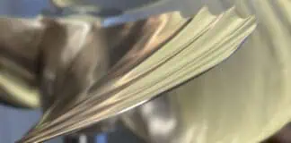 CJR Propulsion, a UK-based marine manufacturer of precision-engineered propeller and sterngear systems, announce the launch of its latest breakthrough in marine propulsion technology: the new CJR Sailfish propeller, engineered to deliver up to a 13% increase in efficiency*. The unique design is inspired by the dorsal fin of the fastest fish in the ocean, – the sailfish.