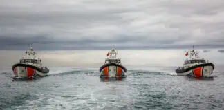 Damen Secures SAR Order for Turkish Coast Guard Damen Shipyards Antalya has been awarded a contract by the International Organization for Migration (IOM) for a new series of search-and-rescue vessels destined for the Turkish Coast Guard Command (TURCG).