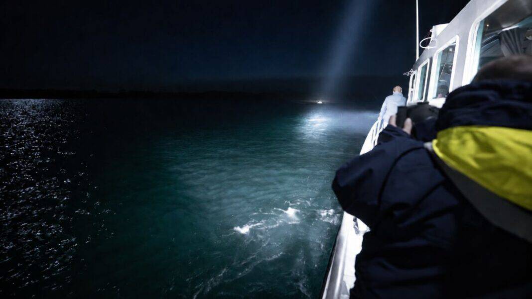 SEA.AI and searchlight manufacturer The Carlisle & Finch Co. have integrated SEA.AI’s Sentry AI-powered maritime detection system with Carlisle & Finch’s SmartVIEW Gateway, combining machine vision with automated searchlight tracking to give crews a faster way to locate and monitor targets at sea.