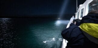 SEA.AI and searchlight manufacturer The Carlisle & Finch Co. have integrated SEA.AI’s Sentry AI-powered maritime detection system with Carlisle & Finch’s SmartVIEW Gateway, combining machine vision with automated searchlight tracking to give crews a faster way to locate and monitor targets at sea.