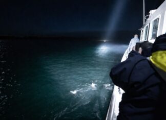 SEA.AI and searchlight manufacturer The Carlisle & Finch Co. have integrated SEA.AI’s Sentry AI-powered maritime detection system with Carlisle & Finch’s SmartVIEW Gateway, combining machine vision with automated searchlight tracking to give crews a faster way to locate and monitor targets at sea.